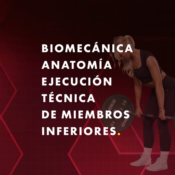 Biomecánica, anatomía y ejecución técnica de miembros inferiores